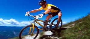 mountain bike