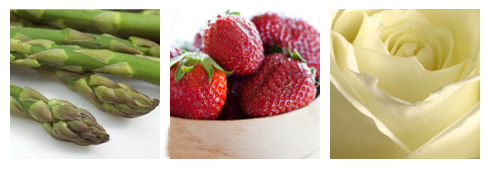 Verdura, frutta e fiori