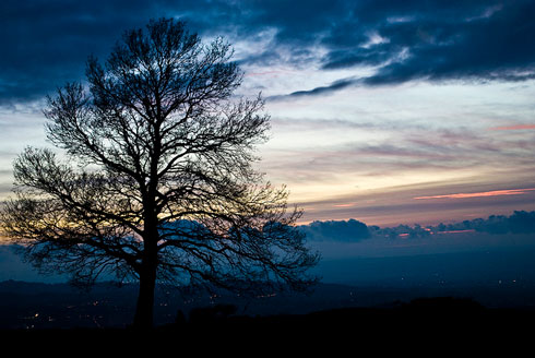 Tuscolo by Alessandro Bonvini Flickr CC BY 2.0