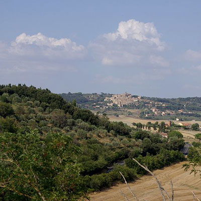 Agriturismo Colline Pisane (33 agriturismi trovati)
