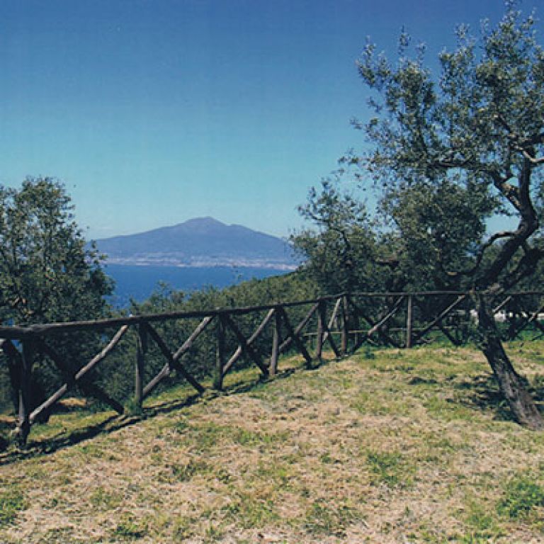 Agriturismo Villa Giusso (Vico Equense, Campania)