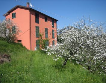 Casa-rural Casalino - Beverino