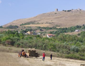 Casa-rural Fattoriabio  - Satriano Di Lucania