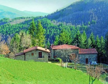 Casa-rural Casale Camalda Bioagriturismo - Bibbiena