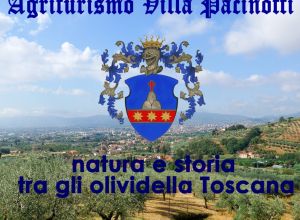 image9 Villa Pacinotti