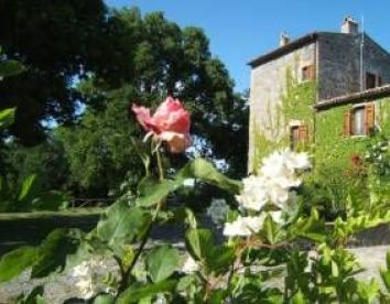 Farm-house Valle Del Tione - Orvieto