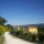 ziamelia