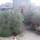 locanda dei boi