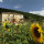 antico casale