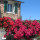 ca' dei conti