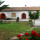 monte alzato