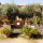 degli ulivi