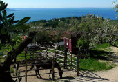 Scuderia Castello