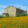 fattoria fontegeloni