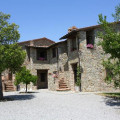 Grepposalvigno