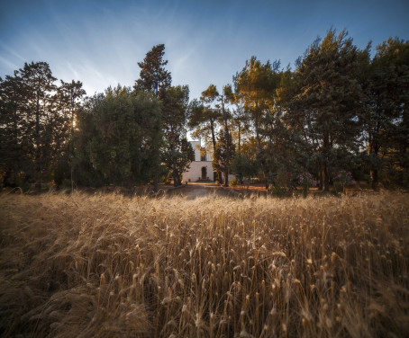 Bed and breakfast Masseria Fracchicchi