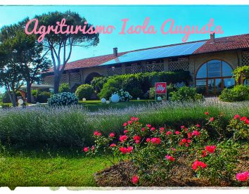Farm-house Isola Augusta - Udine