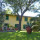 la pineta