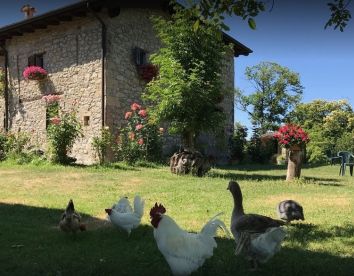Agritourisme La Piana Dei Castagni - Castel D'Aiano