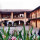 sangallo