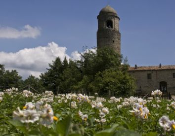 Casa-rural Montagna Verde - Licciana Nardi