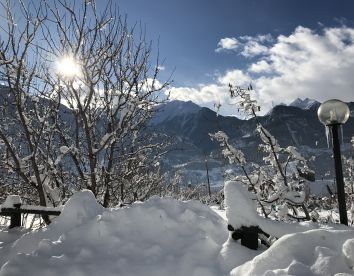 verger plein soleil - Valle-dAosta