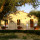  la cicala