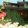 la casa in collina
