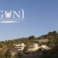 Agunì