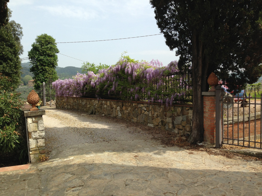 fattoria le sorgenti photo 2