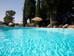 Offers fattoria le sorgenti