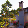Podere Don Peppe 1884