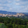 Fontelupo