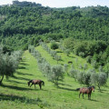 Valle Capore