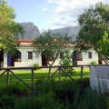 Guthiddai