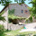 paradiso41