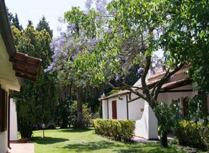 Agrimare