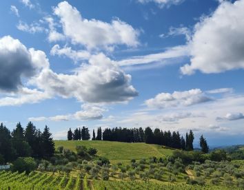 Agritourisme Fattorie Giannozzi - Barberino Val D'Elsa