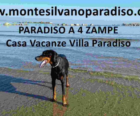 foto dell'agriturismo Montesilvano Paradiso