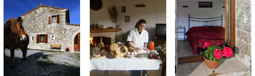 Lezioni di cucina e di tradizioni