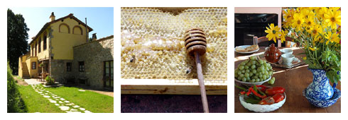 A Casa del Tosi miele per tutti i gusti!