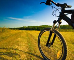 Bici day, Coldiretti: 2300 agriturismi offrono servizio mountain-bike