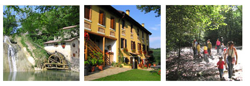 Festa della luna 2011