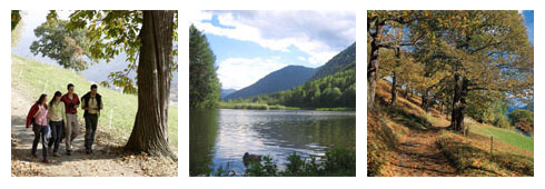 Il Sentiero del Castagno