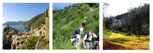 Camminando in Verdeazzurro