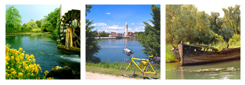 A pedalare lungo il Sile…