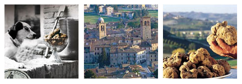 Andando a tartufi…