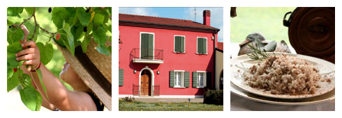 L’Anatra Felice per la felicità di grandi e piccini!