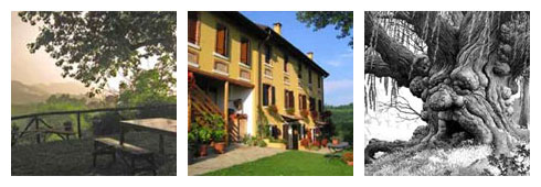 Festa nel Bosco…da brivido!