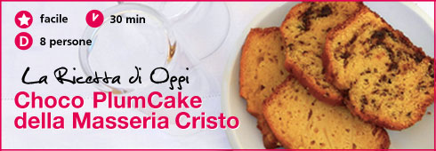 Plum cake al cioccolato